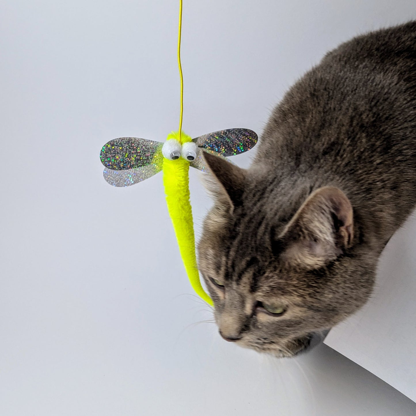 PAWSUPREMACY - Retractable Door Hanging Cat Toy Elastic Rope Mouse Teaser for Kittens